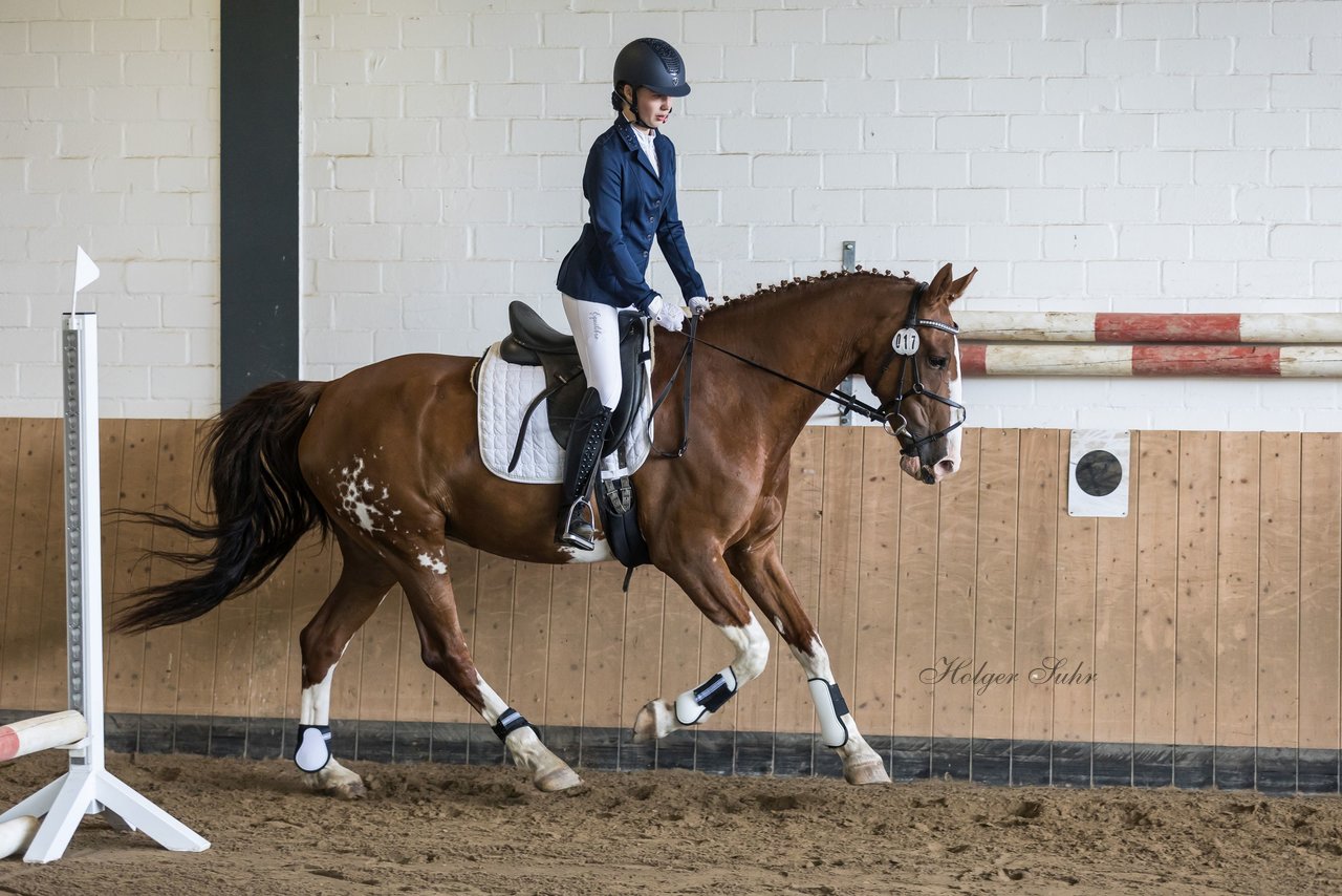 Bild 23 - Pony Akademie Turnier